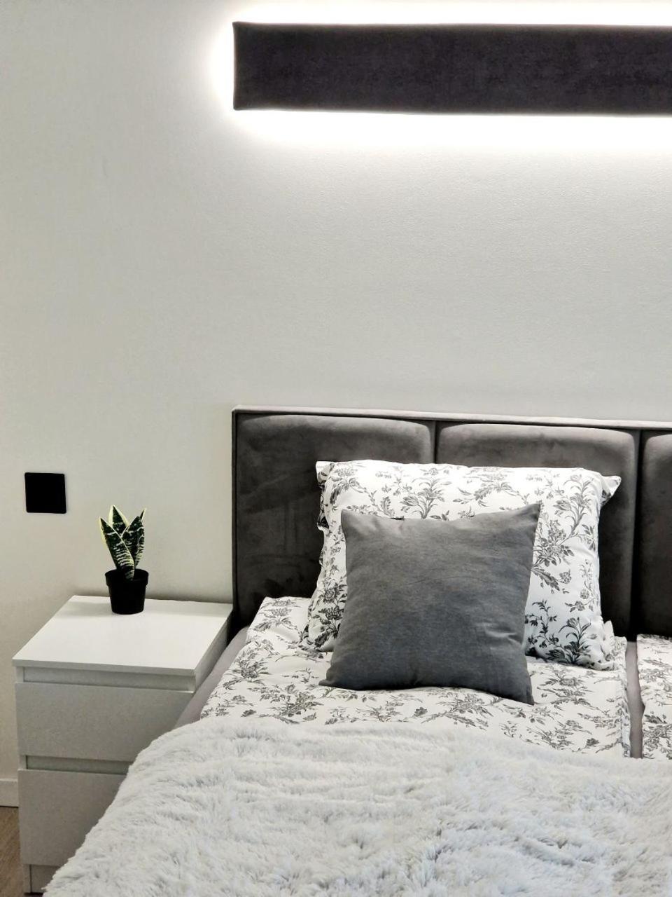 Apartment Comfortable Flat With Garden