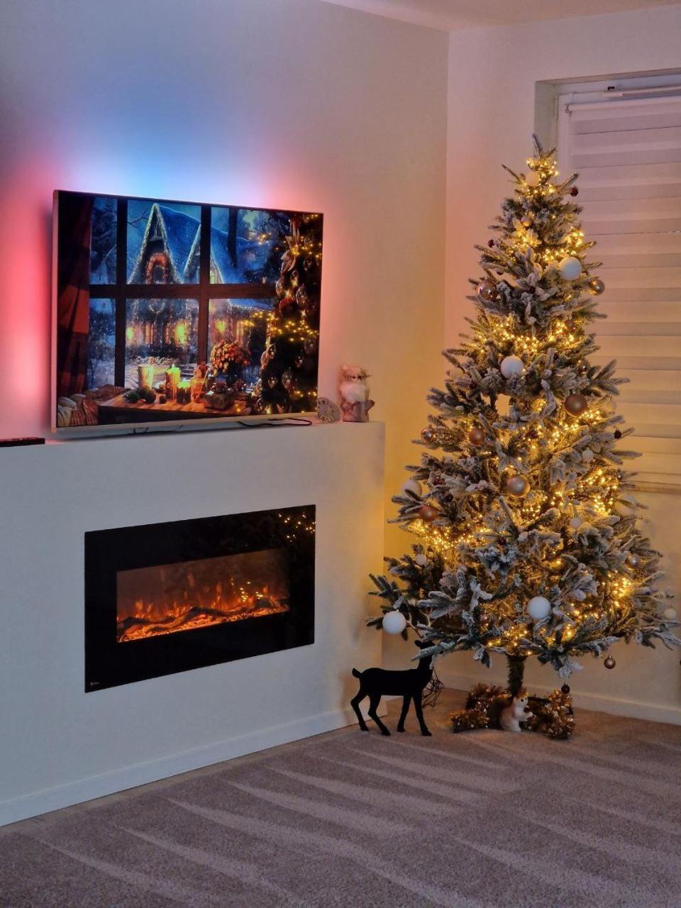 Comfortable Flat With Garden Apartment *